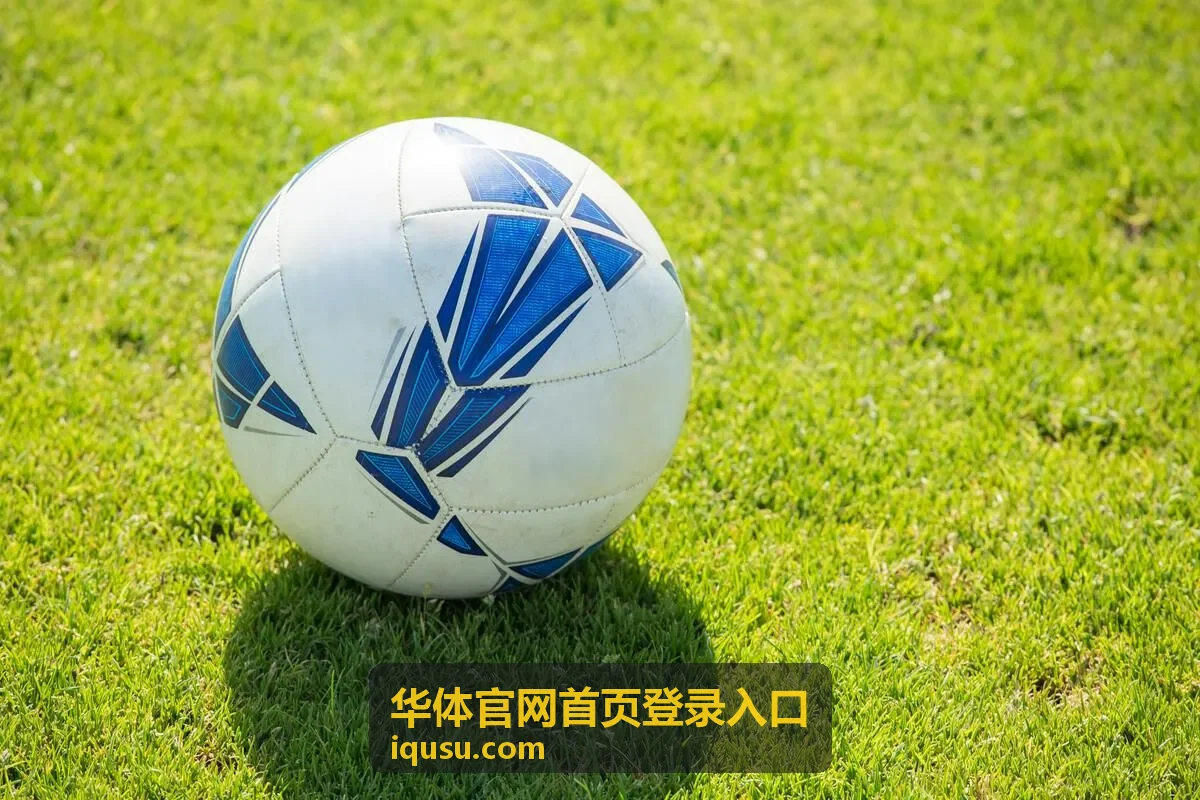 华体官网首页登录入口常见问题排查示意