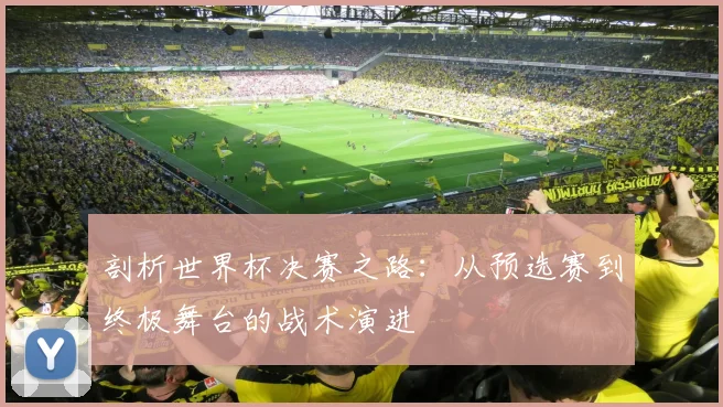 剖析世界杯决赛之路：从预选赛到终极舞台的战术演进