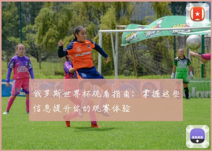 俄罗斯世界杯观看指南：掌握这些信息提升你的观赛体验