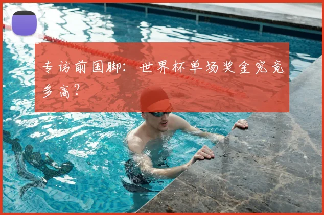 专访前国脚:世界杯单场奖金究竟多高?