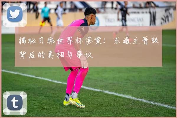 揭秘日韩世界杯惨案：东道主晋级背后的真相与争议