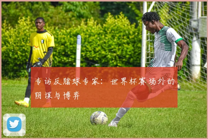 专访反赌球专家:世界杯赛场外的阴谋与博弈