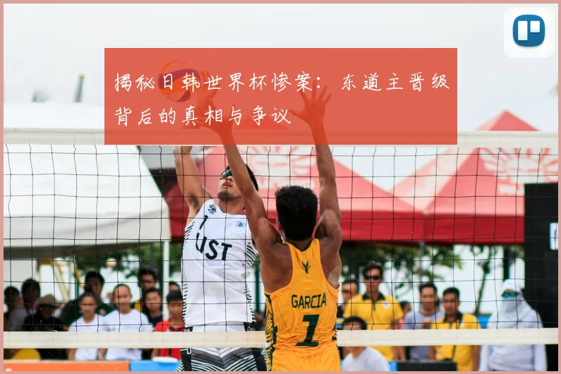 揭秘日韩世界杯惨案：东道主晋级背后的真相与争议