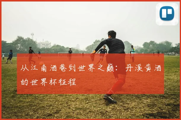 从江南酒巷到世界之巅：丹溪黄酒的世界杯征程