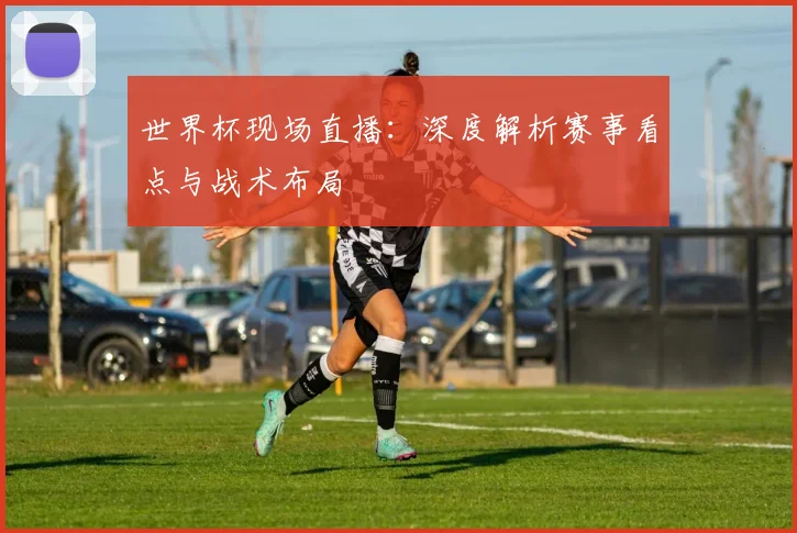 世界杯现场直播：深度解析赛事看点与战术布局