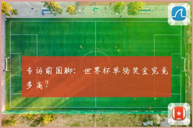 专访前国脚:世界杯单场奖金究竟多高?